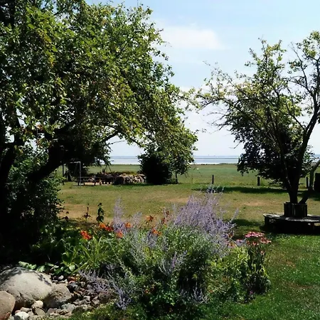Reethaus Mertinat For Mit Meerblick Holiday home Insel Poel